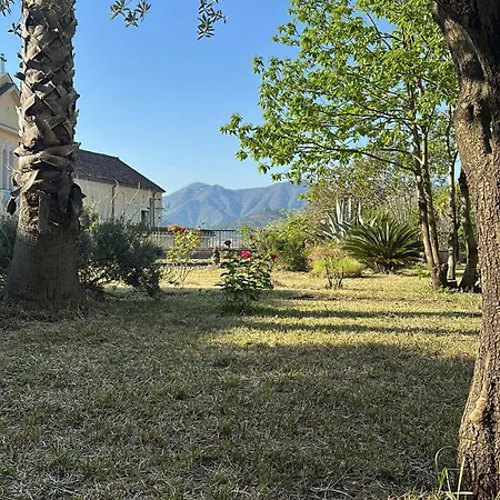 Appartement Gradevole In Corte *