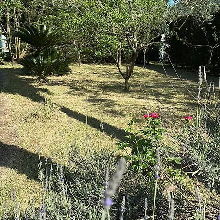 Appartement Gradevole In Corte