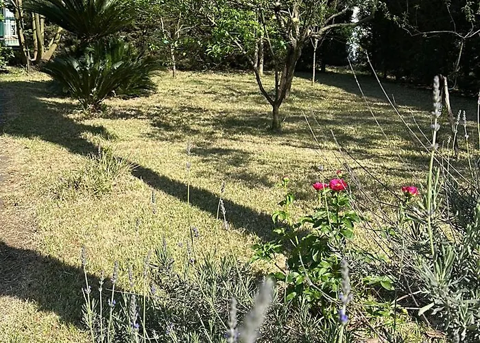 아파트 Gradevole In Corte